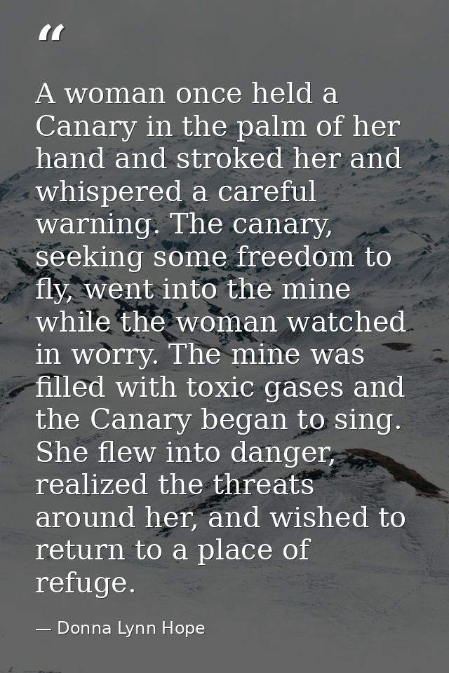 A woman once held a Canary in the palm of her hand and stroked her and whispered a careful warning. The canary, seeking  — Donna Lynn Hope