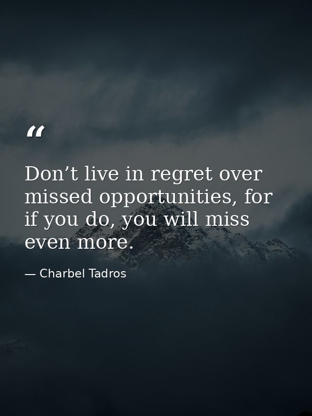 Don’t live in regret over missed opportunities, for if you do, you will miss even more. — Charbel Tadros