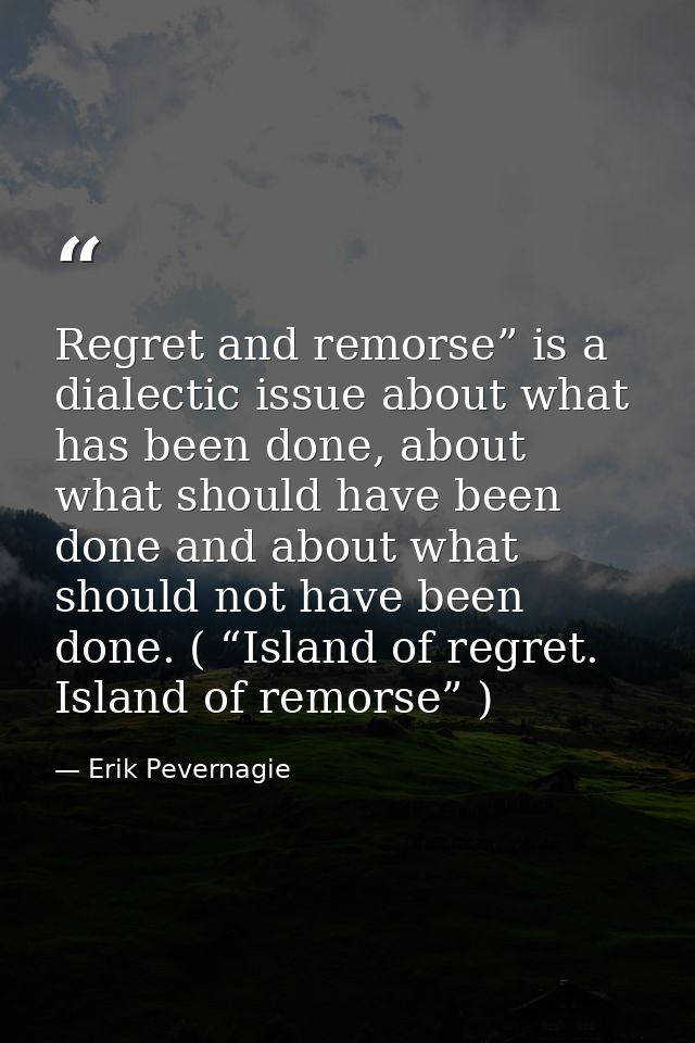 Regret and remorse” is a dialectic issue about what has been done, about what should have been done and about what shoul — Erik Pevernagie