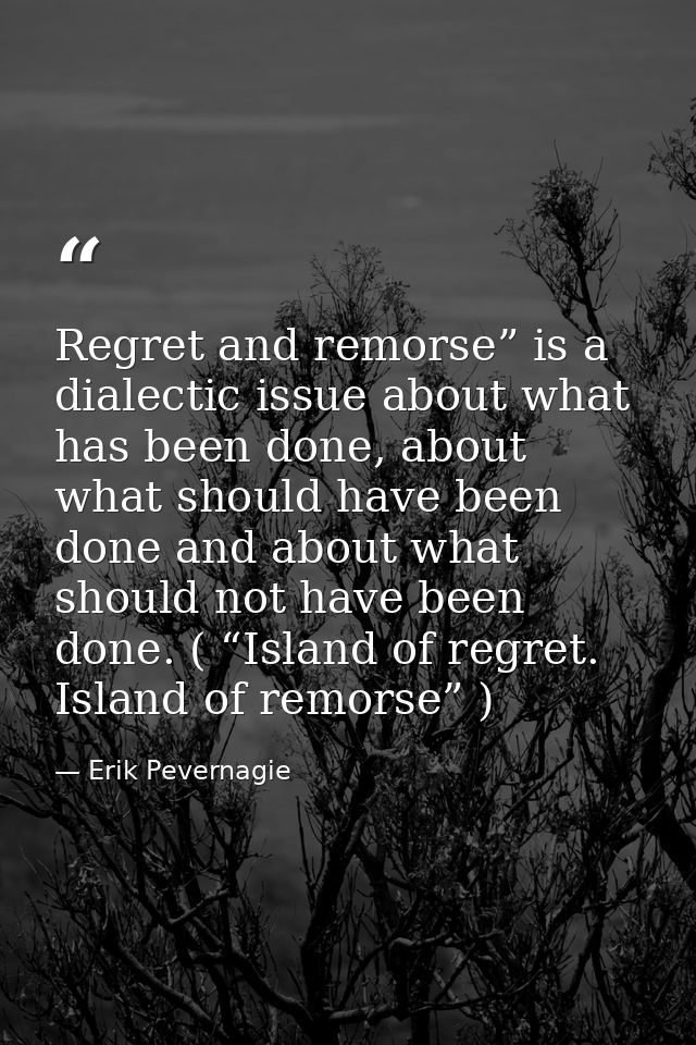 Regret and remorse” is a dialectic issue about what has been done, about what should have been done and about what shoul — Erik Pevernagie