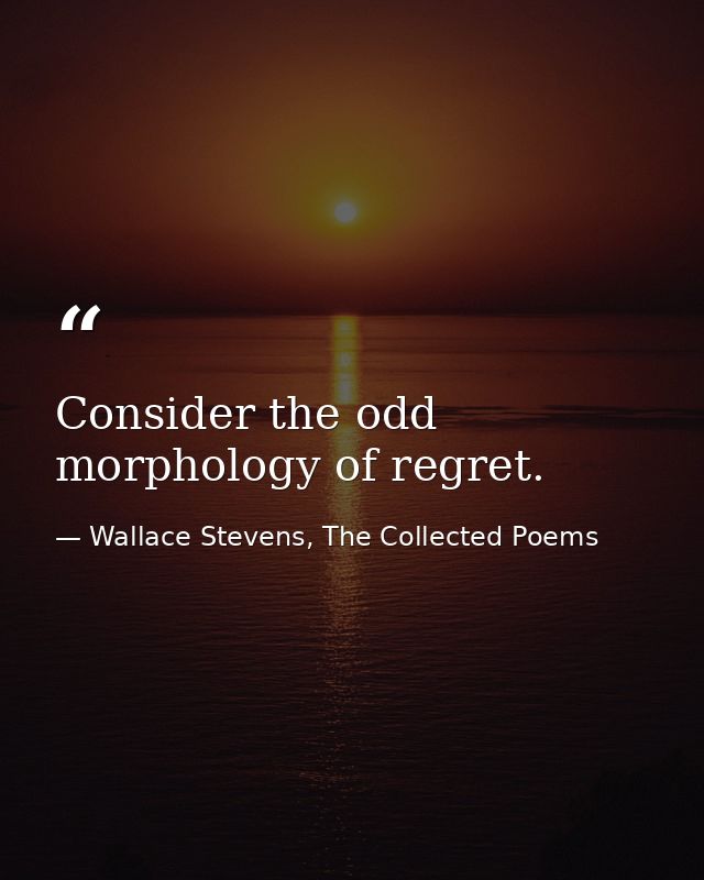 Consider the odd morphology of regret. — Wallace Stevens, The Collected Poems