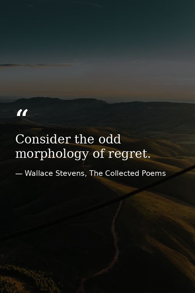 Consider the odd morphology of regret. — Wallace Stevens, The Collected Poems