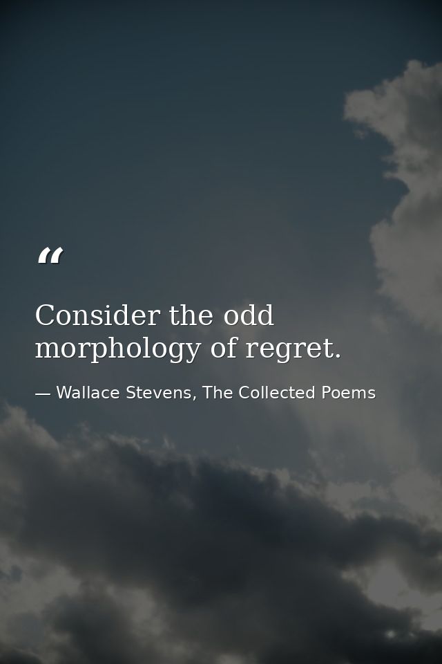 Consider the odd morphology of regret. — Wallace Stevens, The Collected Poems