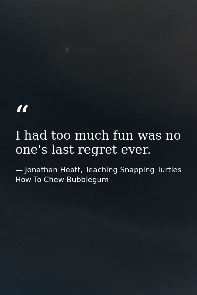 I had too much fun was no one's last regret ever. — Jonathan Heatt, Teaching Snapping Turtles How To Chew Bubblegum