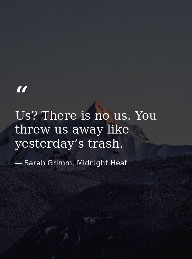 Us? There is no us. You threw us away like yesterday’s trash. — Sarah Grimm, Midnight Heat