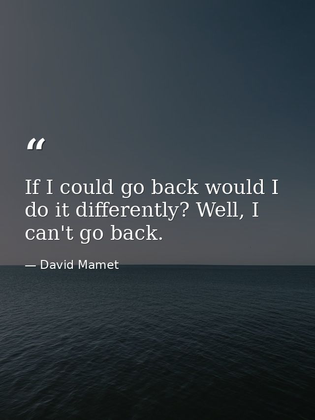 If I could go back would I do it differently? Well, I can't go back. — David Mamet