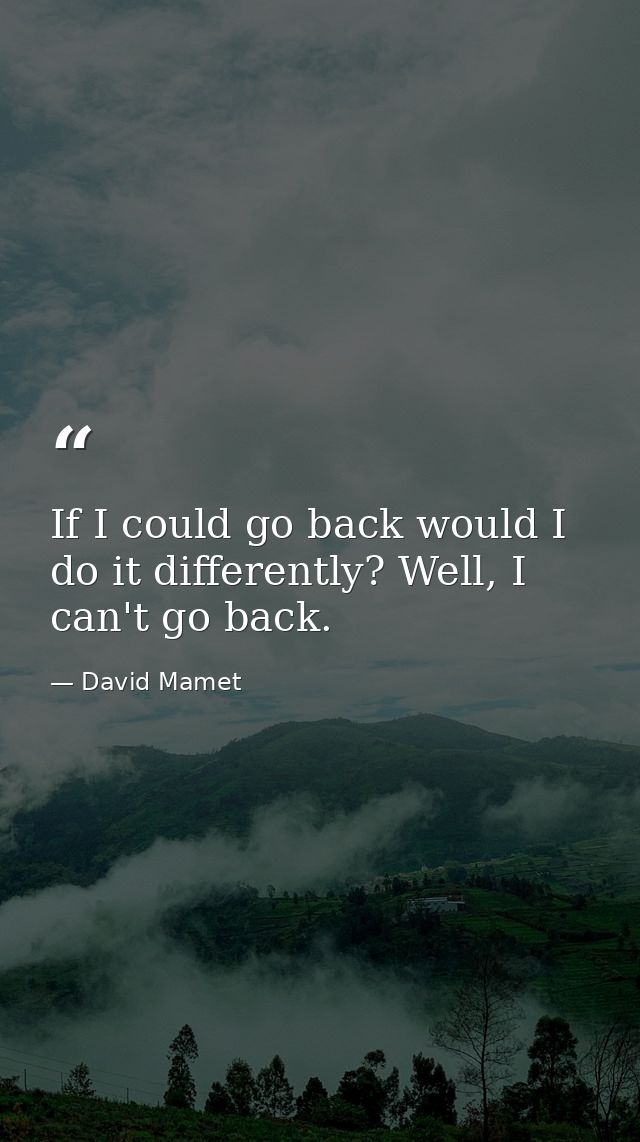 If I could go back would I do it differently? Well, I can't go back. — David Mamet