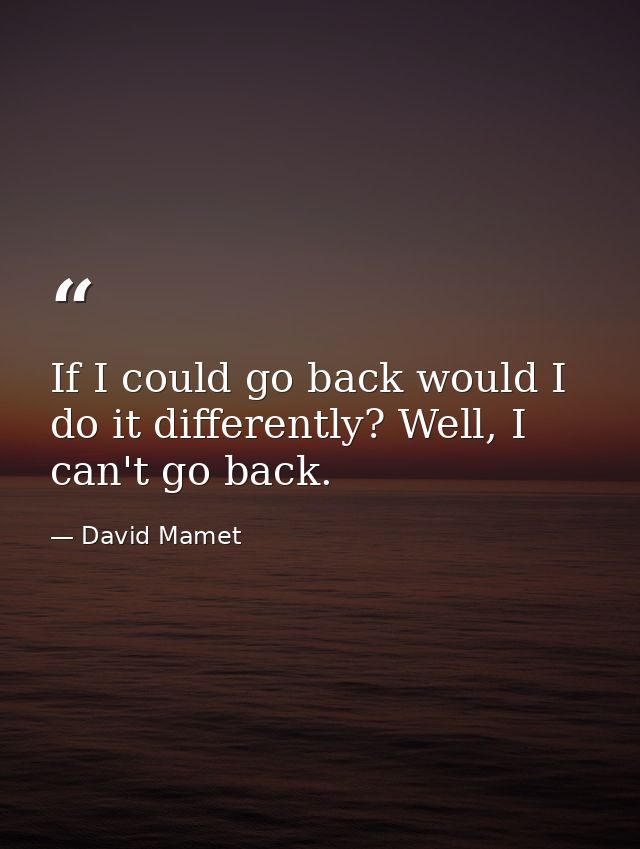 If I could go back would I do it differently? Well, I can't go back. — David Mamet
