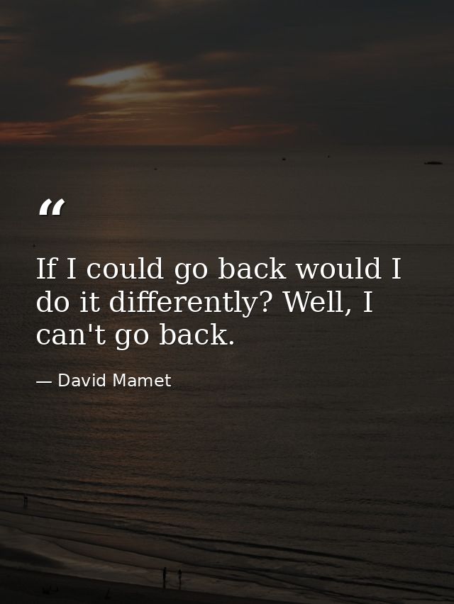If I could go back would I do it differently? Well, I can't go back. — David Mamet