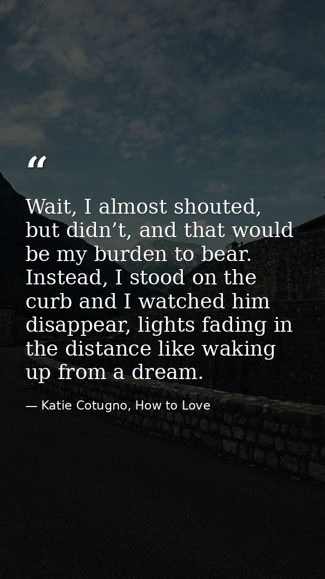Wait, I almost shouted, but didn’t, and that would be my burden to bear. Instead, I stood on the curb and I watched him  — Katie Cotugno, How to Love