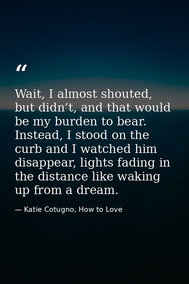 Wait, I almost shouted, but didn’t, and that would be my burden to bear. Instead, I stood on the curb and I watched him  — Katie Cotugno, How to Love