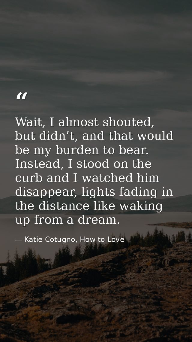 Wait, I almost shouted, but didn’t, and that would be my burden to bear. Instead, I stood on the curb and I watched him  — Katie Cotugno, How to Love