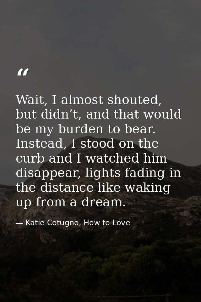 Wait, I almost shouted, but didn’t, and that would be my burden to bear. Instead, I stood on the curb and I watched him  — Katie Cotugno, How to Love