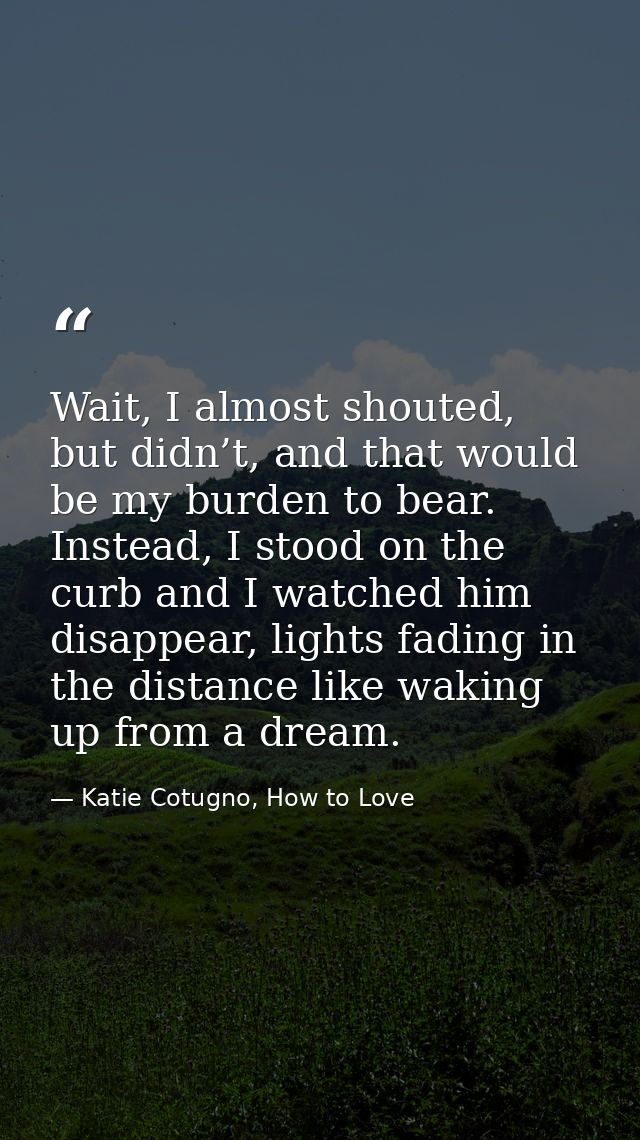 Wait, I almost shouted, but didn’t, and that would be my burden to bear. Instead, I stood on the curb and I watched him  — Katie Cotugno, How to Love