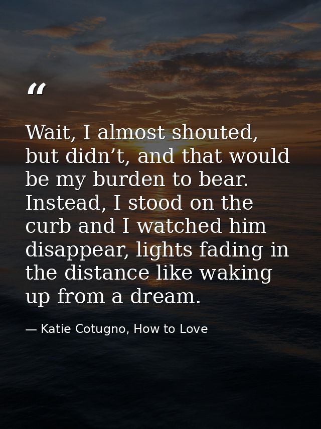 Wait, I almost shouted, but didn’t, and that would be my burden to bear. Instead, I stood on the curb and I watched him  — Katie Cotugno, How to Love