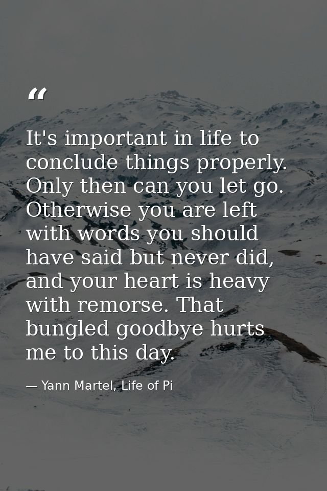 It's important in life to conclude things properly. Only then can you let go. Otherwise you are left with words you shou — Yann Martel, Life of Pi