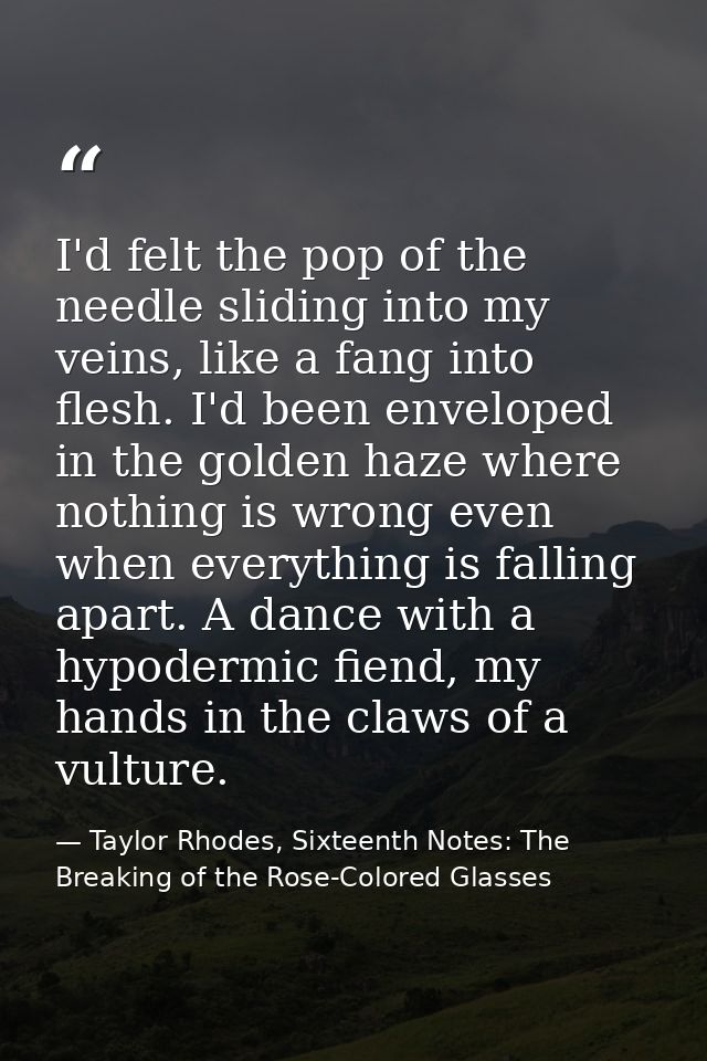 I'd felt the pop of the needle sliding into my veins, like a fang into flesh. I'd been enveloped in the golden haze wher — Taylor Rhodes, Sixteenth Notes: The Breaking of the Rose-Colored Glasses