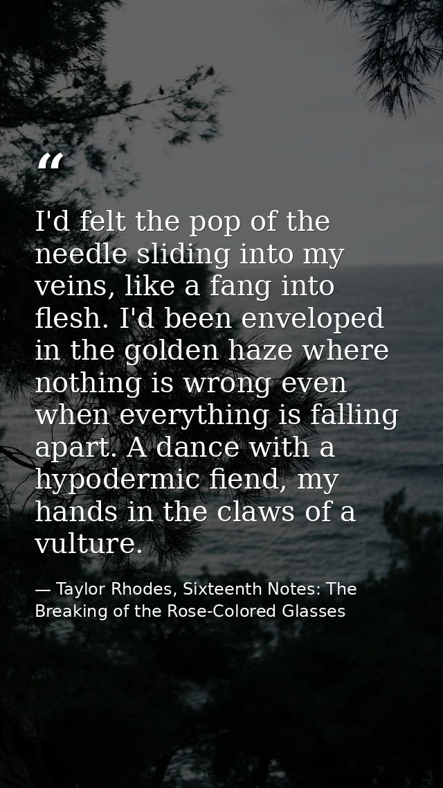 I'd felt the pop of the needle sliding into my veins, like a fang into flesh. I'd been enveloped in the golden haze wher — Taylor Rhodes, Sixteenth Notes: The Breaking of the Rose-Colored Glasses