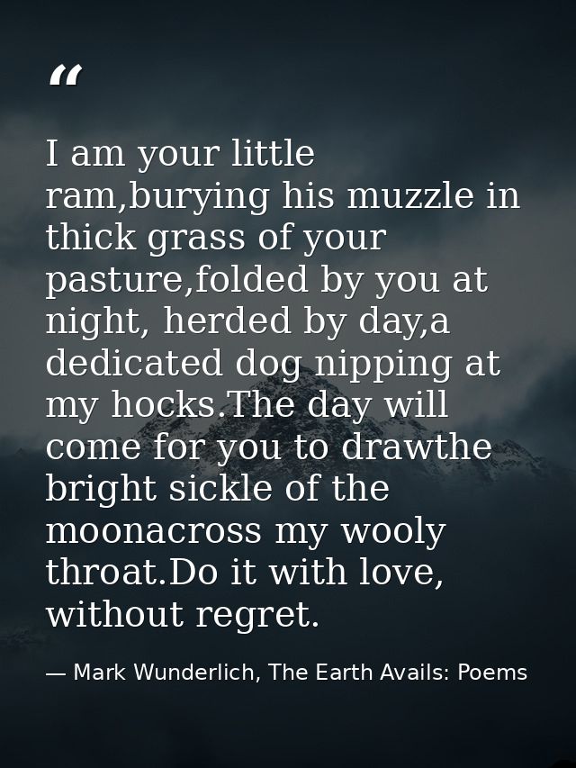 I am your little ram,burying his muzzle in thick grass of your pasture,folded by you at night, herded by day,a dedicated — Mark Wunderlich, The Earth Avails: Poems