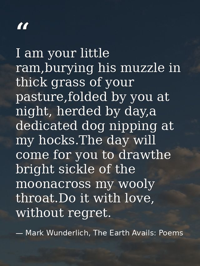 I am your little ram,burying his muzzle in thick grass of your pasture,folded by you at night, herded by day,a dedicated — Mark Wunderlich, The Earth Avails: Poems