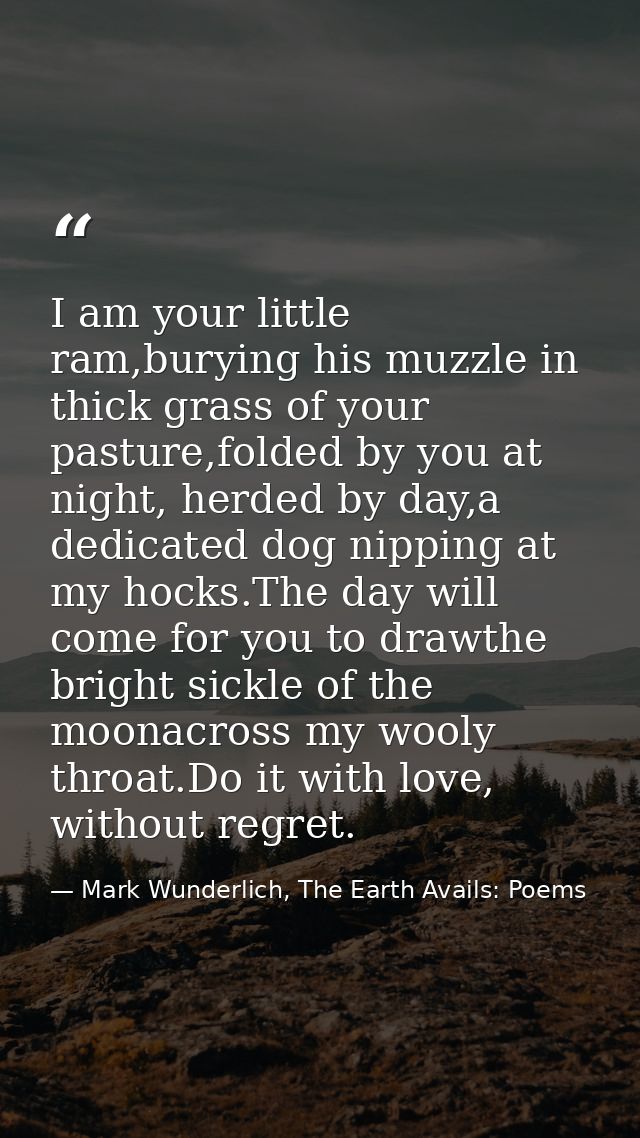 I am your little ram,burying his muzzle in thick grass of your pasture,folded by you at night, herded by day,a dedicated — Mark Wunderlich, The Earth Avails: Poems