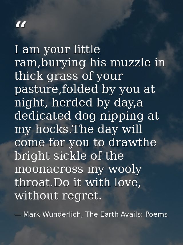 I am your little ram,burying his muzzle in thick grass of your pasture,folded by you at night, herded by day,a dedicated — Mark Wunderlich, The Earth Avails: Poems