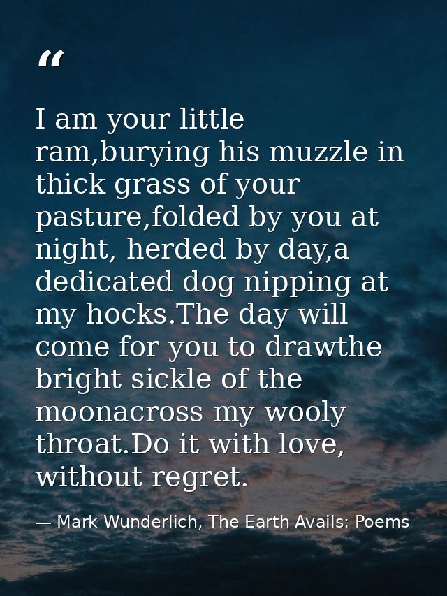 I am your little ram,burying his muzzle in thick grass of your pasture,folded by you at night, herded by day,a dedicated — Mark Wunderlich, The Earth Avails: Poems