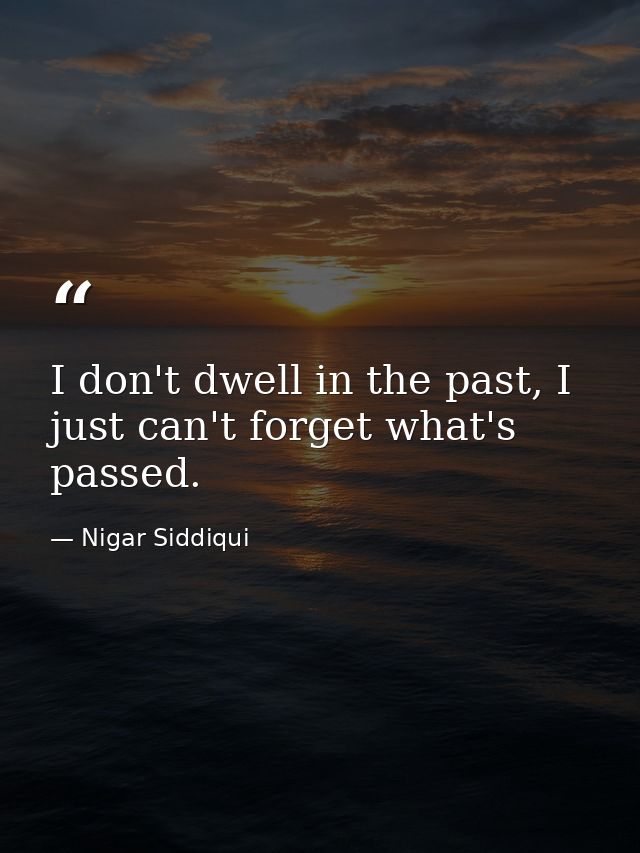 I don't dwell in the past, I just can't forget what's passed. — Nigar Siddiqui