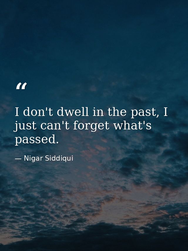 I don't dwell in the past, I just can't forget what's passed. — Nigar Siddiqui