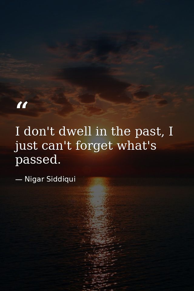 I don't dwell in the past, I just can't forget what's passed. — Nigar Siddiqui