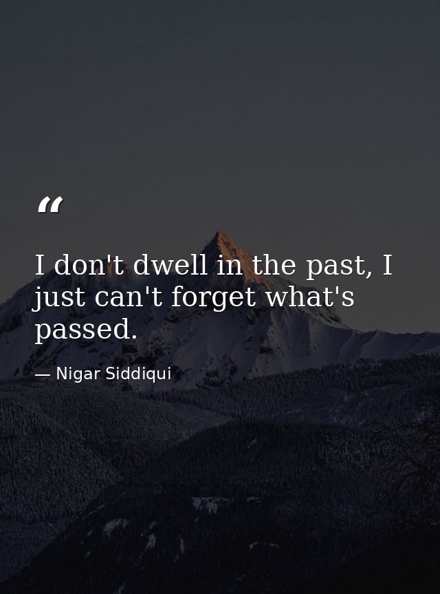 I don't dwell in the past, I just can't forget what's passed. — Nigar Siddiqui