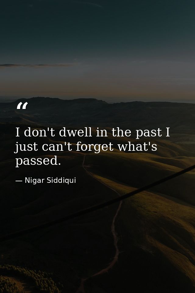 I don't dwell in the past I just can't forget what's passed. — Nigar Siddiqui