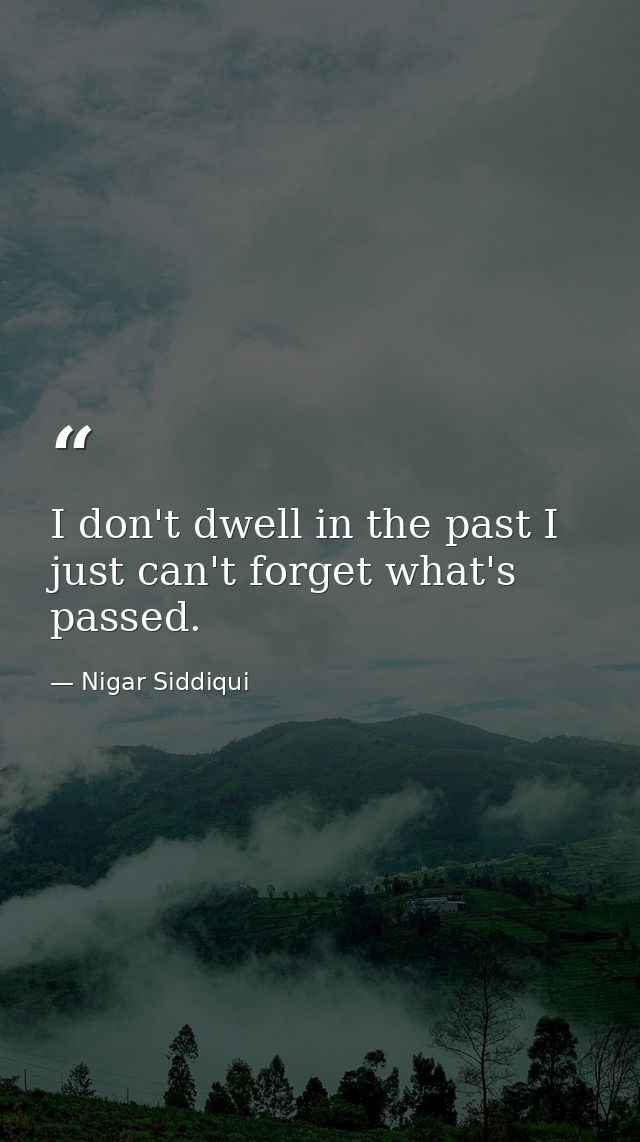 I don't dwell in the past I just can't forget what's passed. — Nigar Siddiqui