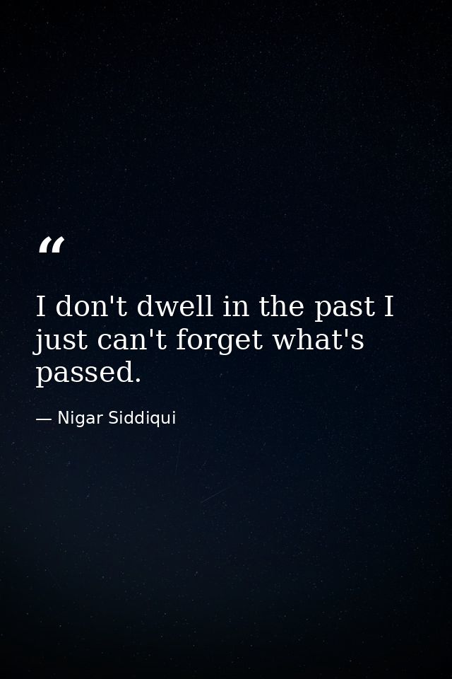 I don't dwell in the past I just can't forget what's passed. — Nigar Siddiqui