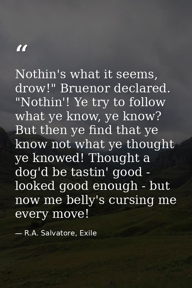 Nothin's what it seems, drow!" Bruenor declared. "Nothin'! Ye try to follow what ye know, ye know? But then ye find that — R.A. Salvatore, Exile