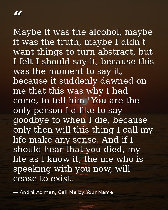 Maybe it was the alcohol, maybe it was the truth, maybe I didn't want things to turn abstract, but I felt I should say i — André Aciman, Call Me by Your Name
