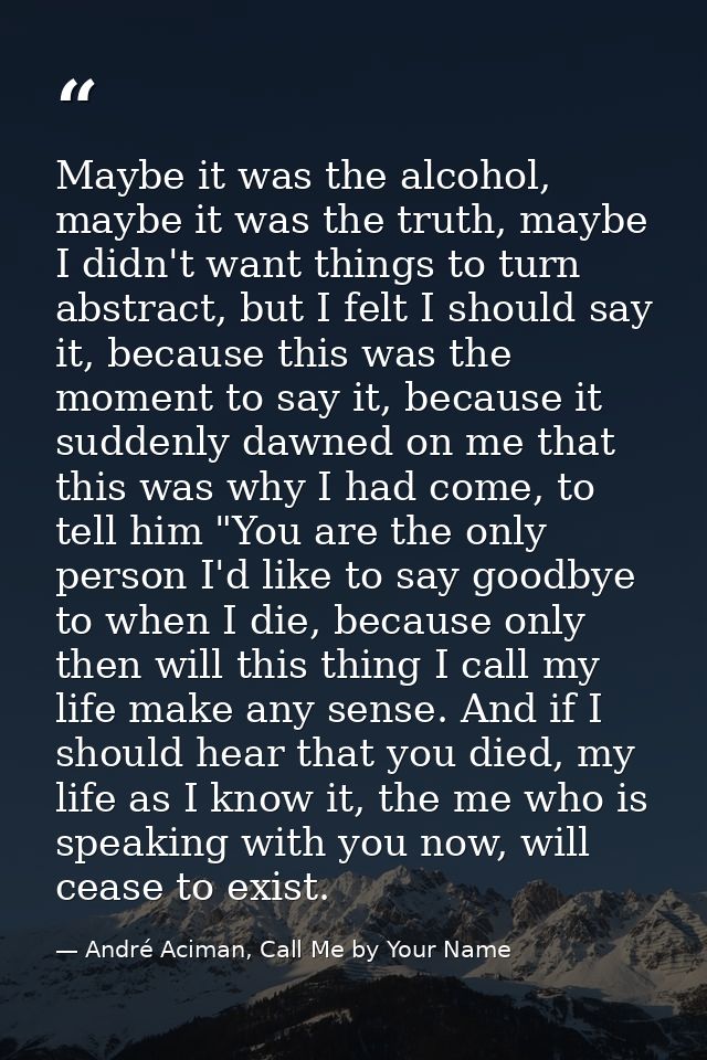 Maybe it was the alcohol, maybe it was the truth, maybe I didn't want things to turn abstract, but I felt I should say i — André Aciman, Call Me by Your Name