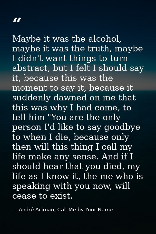 Maybe it was the alcohol, maybe it was the truth, maybe I didn't want things to turn abstract, but I felt I should say i — André Aciman, Call Me by Your Name