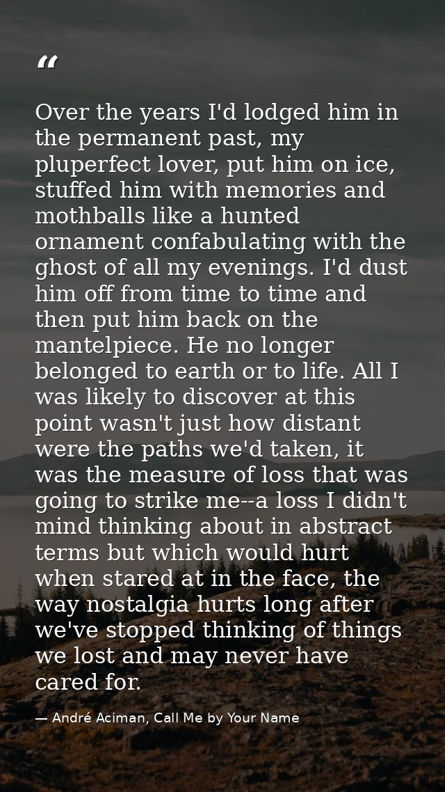 Over the years I'd lodged him in the permanent past, my pluperfect lover, put him on ice, stuffed him with memories and  — André Aciman, Call Me by Your Name
