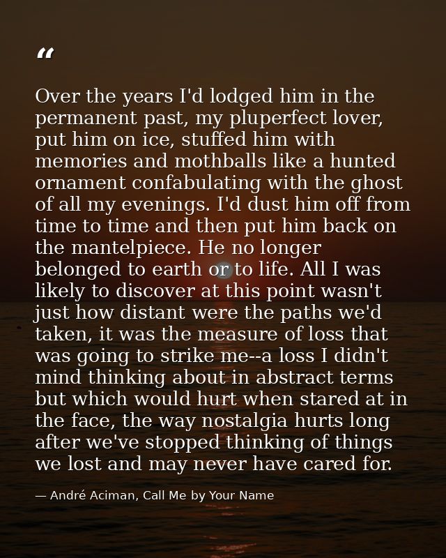 Over the years I'd lodged him in the permanent past, my pluperfect lover, put him on ice, stuffed him with memories and  — André Aciman, Call Me by Your Name