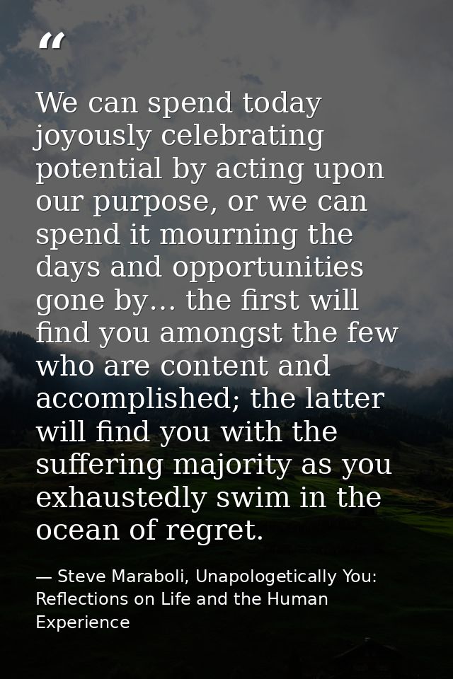 We can spend today joyously celebrating potential by acting upon our purpose, or we can spend it mourning the days and o — Steve Maraboli, Unapologetically You: Reflections on Life and the Human Experience