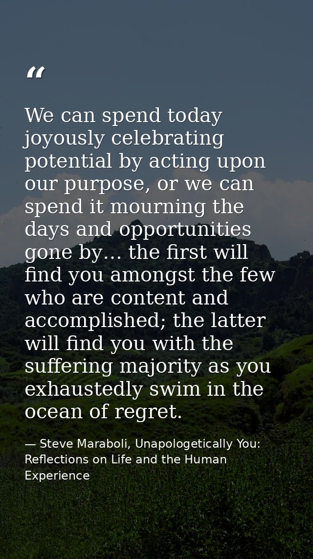 We can spend today joyously celebrating potential by acting upon our purpose, or we can spend it mourning the days and o — Steve Maraboli, Unapologetically You: Reflections on Life and the Human Experience