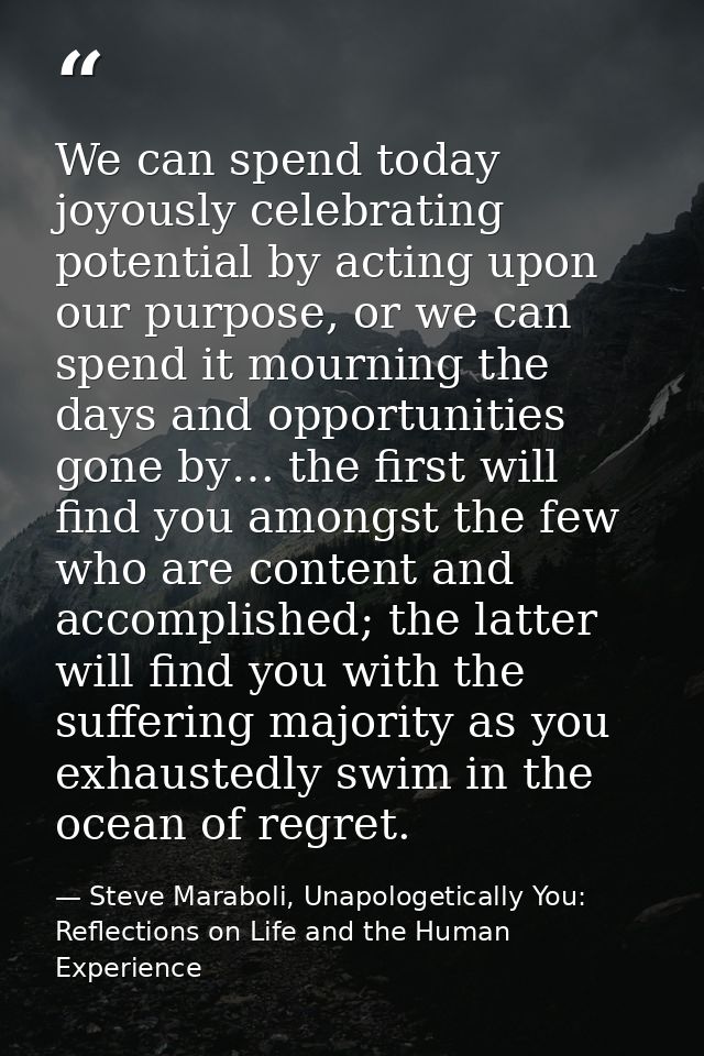 We can spend today joyously celebrating potential by acting upon our purpose, or we can spend it mourning the days and o — Steve Maraboli, Unapologetically You: Reflections on Life and the Human Experience