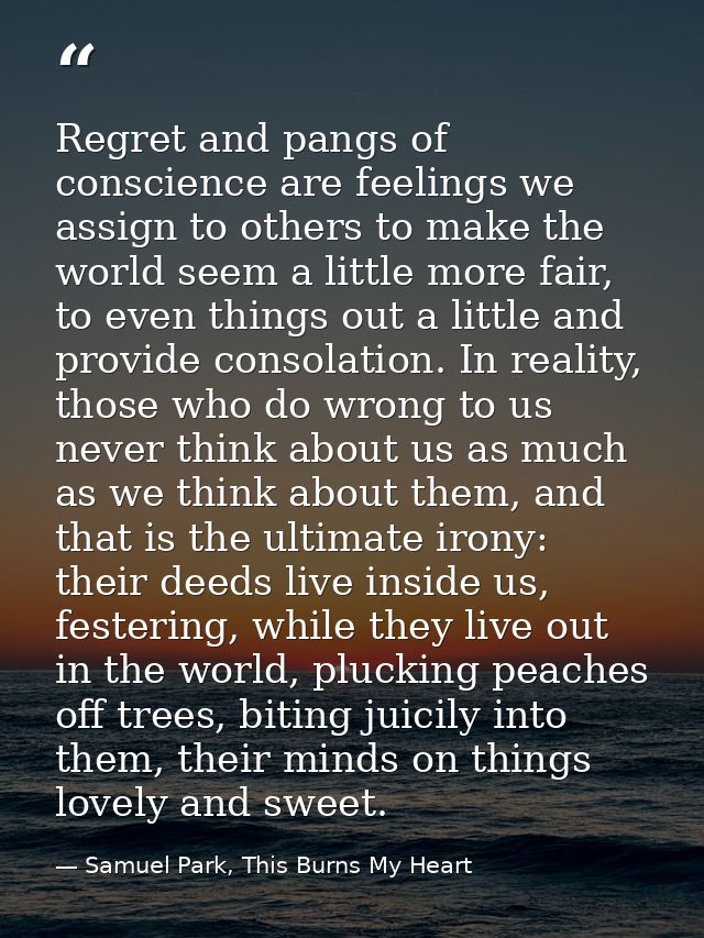 Regret and pangs of conscience are feelings we assign to others to make the world seem a little more fair, to even thing — Samuel Park, This Burns My Heart