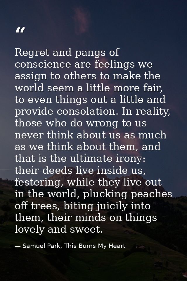 Regret and pangs of conscience are feelings we assign to others to make the world seem a little more fair, to even thing — Samuel Park, This Burns My Heart