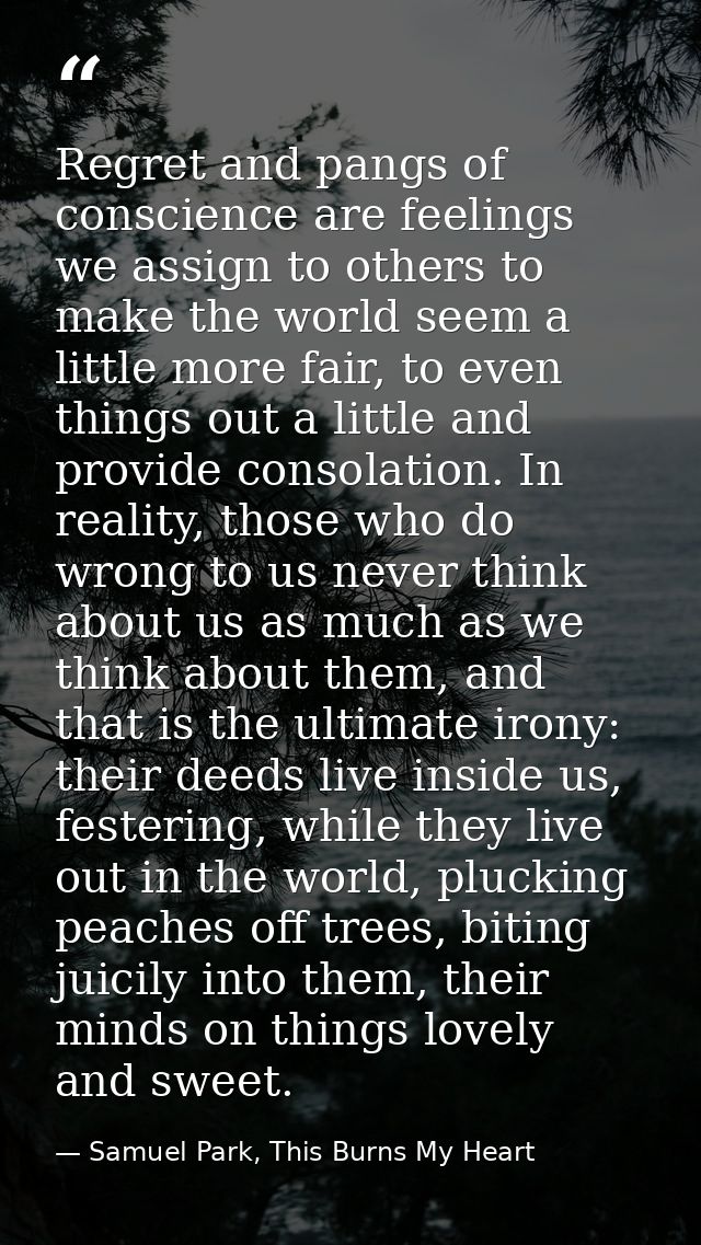Regret and pangs of conscience are feelings we assign to others to make the world seem a little more fair, to even thing — Samuel Park, This Burns My Heart