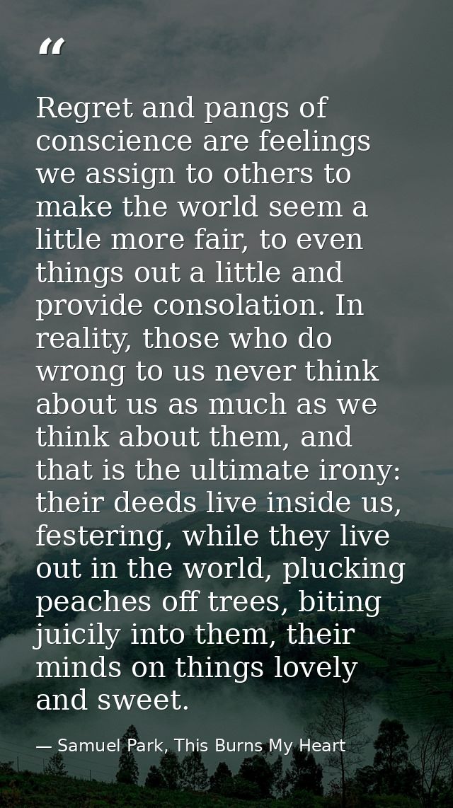 Regret and pangs of conscience are feelings we assign to others to make the world seem a little more fair, to even thing — Samuel Park, This Burns My Heart