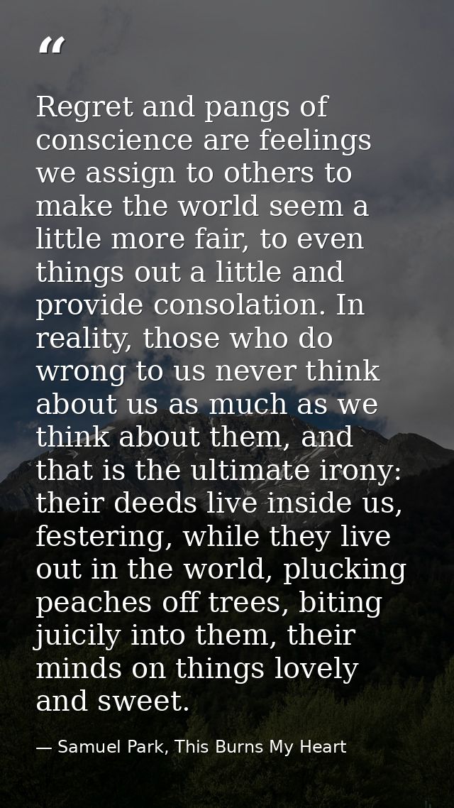 Regret and pangs of conscience are feelings we assign to others to make the world seem a little more fair, to even thing — Samuel Park, This Burns My Heart