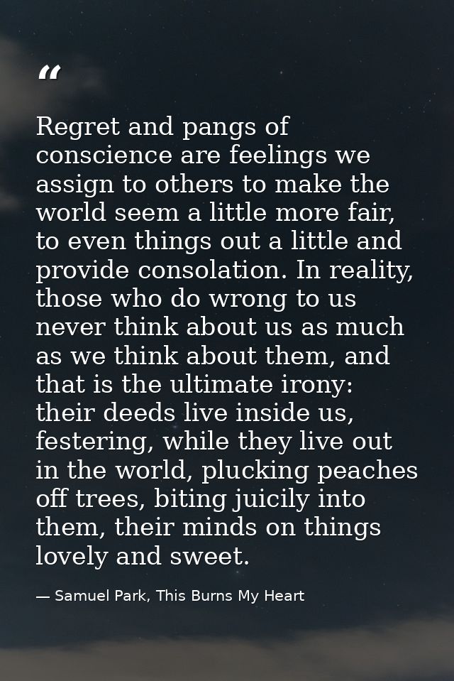 Regret and pangs of conscience are feelings we assign to others to make the world seem a little more fair, to even thing — Samuel Park, This Burns My Heart
