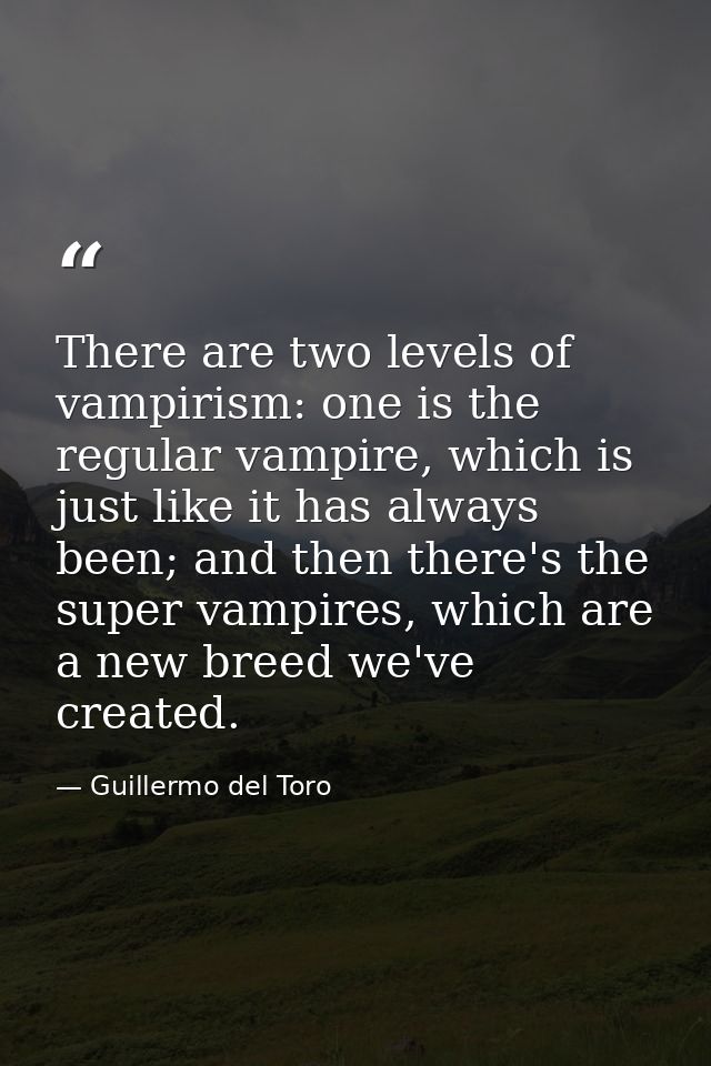 There are two levels of vampirism: one is the regular vampire, which is just like it has always been; and then there's t — Guillermo del Toro